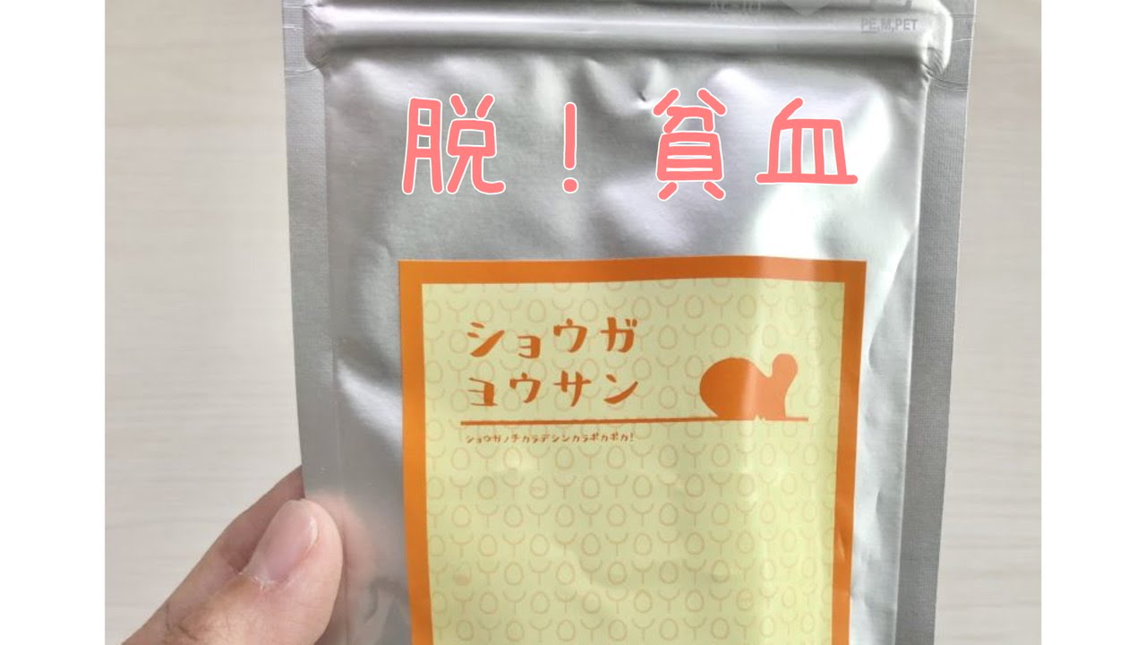 葉酸サプリ「ショウガヨウサン」で貧血対策を始めました!