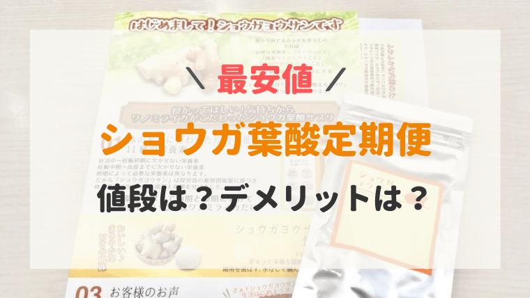 ショウガ葉酸 値段