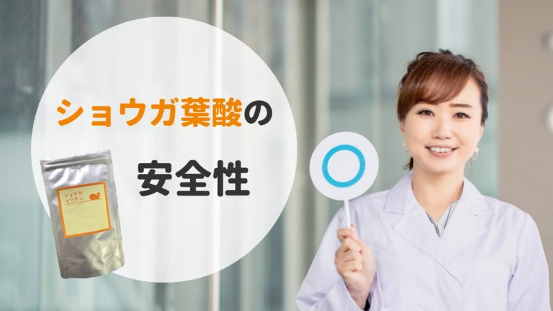 ショウガ葉酸 安全性