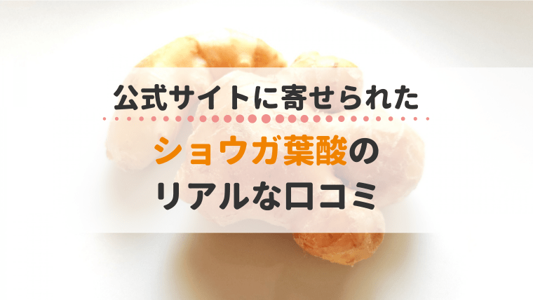 ショウガ葉酸 口コミ