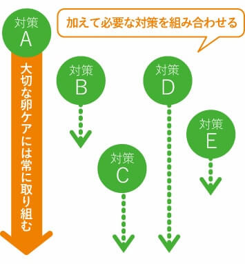 ウムリン ロジカル妊活