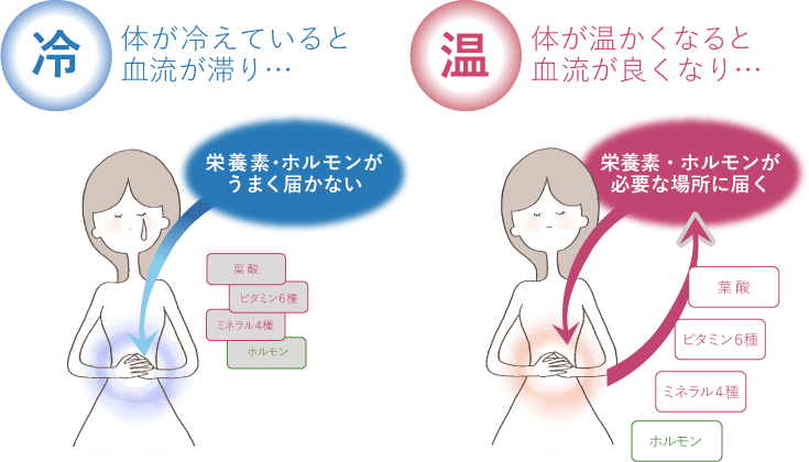 ショウガヨウサンで温活