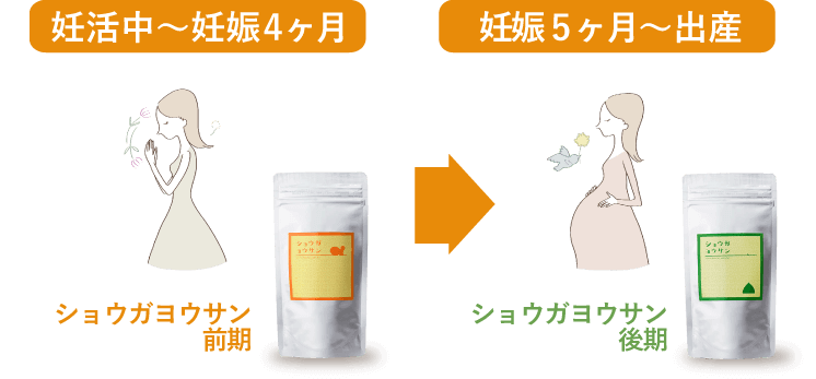 ショウガヨウサン 前期 後期