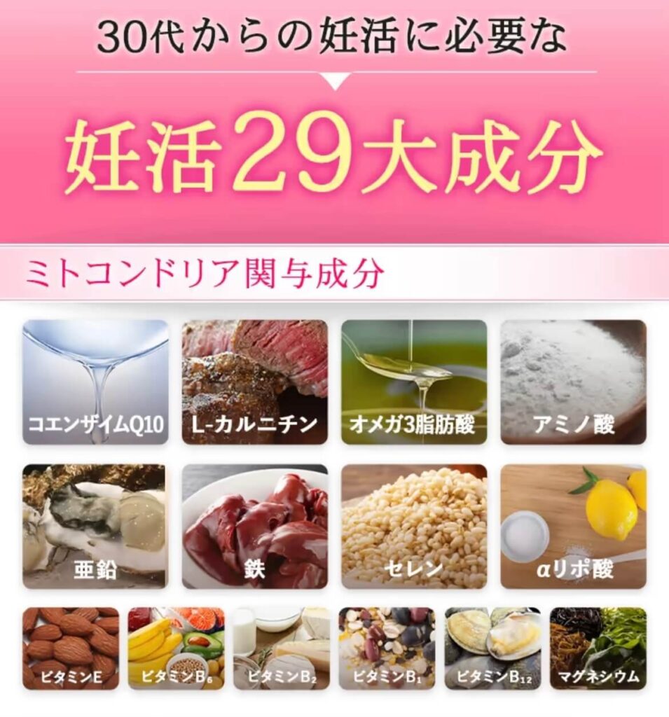 ベルタ葉酸プレリズムの成分