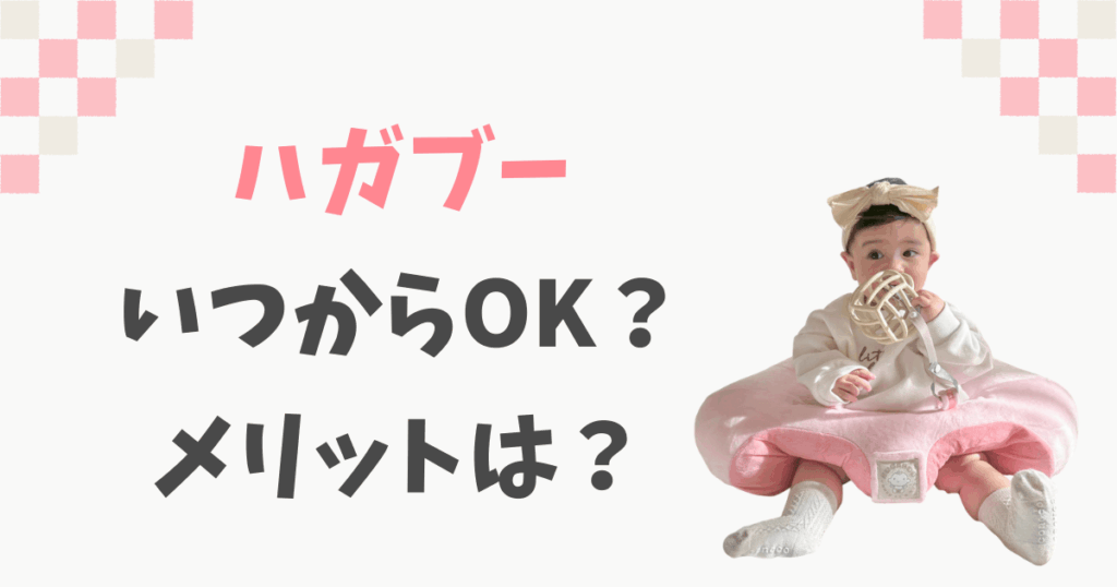 ハガブーはいつから